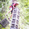 Crate Stacking 2 small